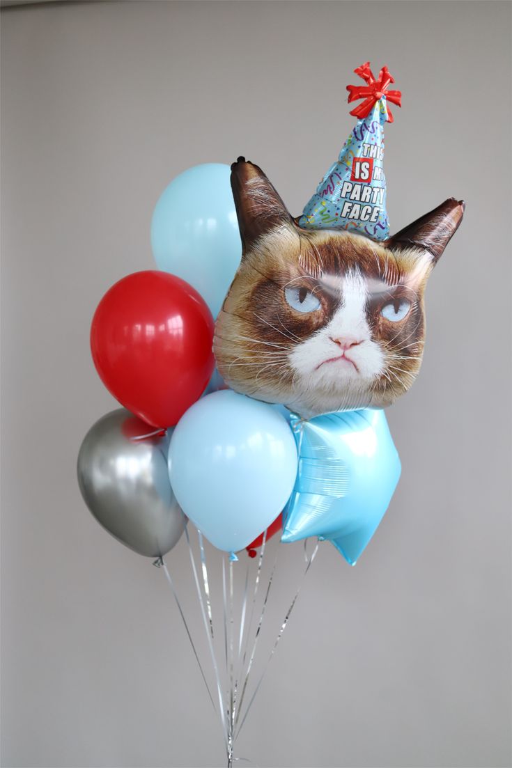 Букет из шаров «Грустный кот»