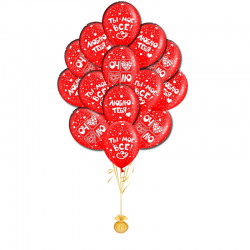 Композиция из 17 шаров « Ты-мое все»