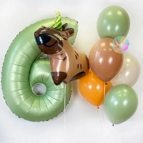 Шары на День Рождения 6 лет